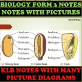 Biology Form 3 Notes +Diagrams APK