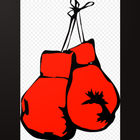 Boxing Skills ikona