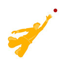 The 12th Man - Cricket Fieldin APK