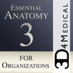 Essential Anatomy 3 for Orgs.