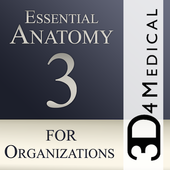 Essential Anatomy 3 for Orgs. icono