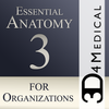 ikon Essential Anatomy 3 for Orgs.