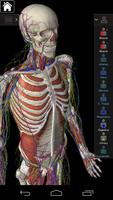 Essential Anatomy 3 for Orgs. تصوير الشاشة 1
