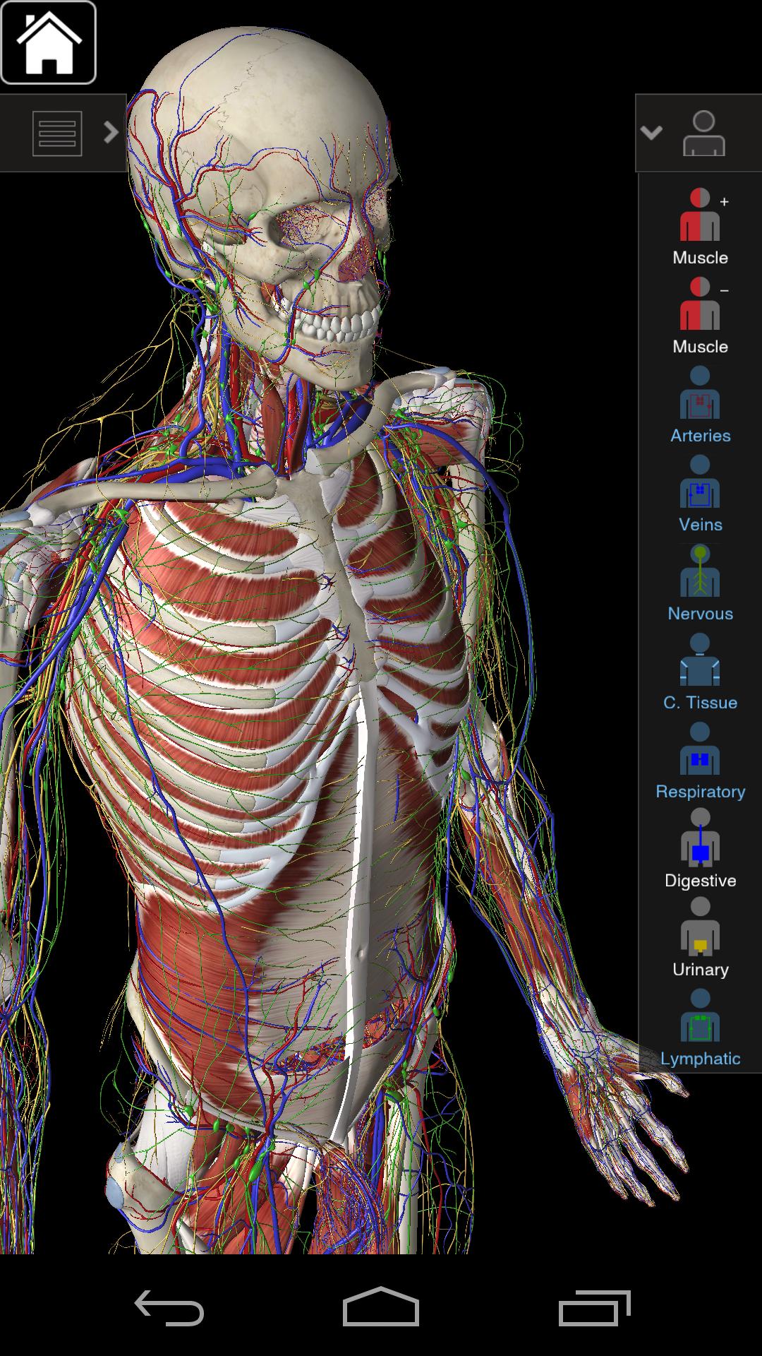 Essential Anatomy 3 for Orgs. APK for Android Download