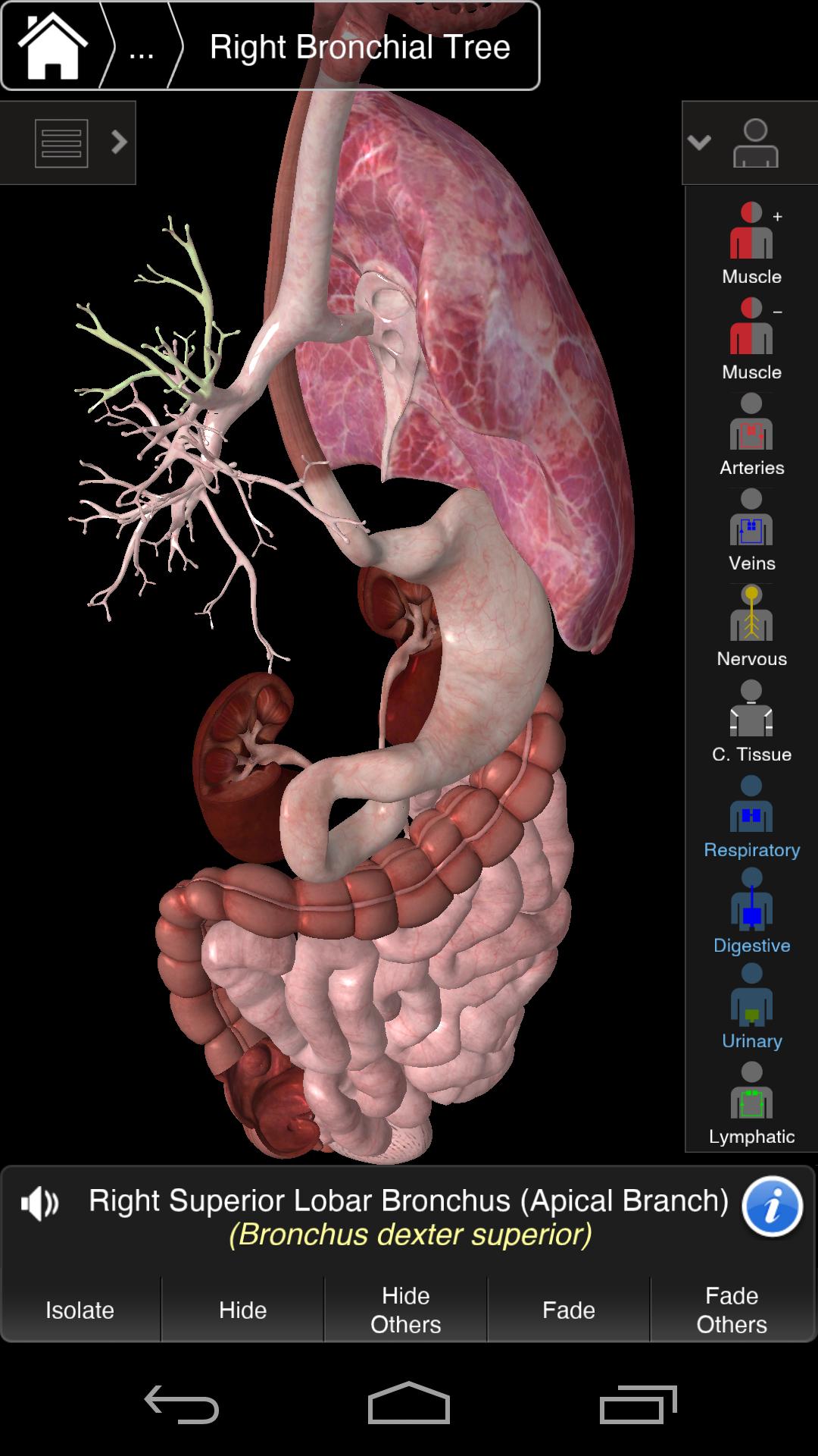 essential anatomy 3 apk free download essential anatomy 3 apk free download
