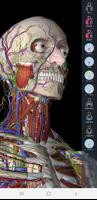 Essential Anatomy 5 پوسٹر