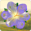 Flower Clock Live Wallpaper