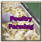 Poultry Farming ไอคอน