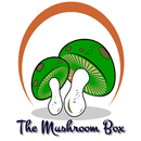 The Mushroom Box APK