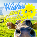 Everyday Wishes and Greetings APK