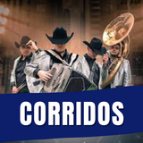Musica Banda y Corridos icône