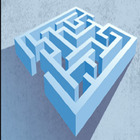Maze / brain test icon