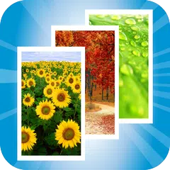 Wallpapers and Backgrounds HD APK download