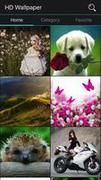 Wallpapers and Backgrounds HD ภาพหน้าจอ 1