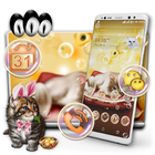 Cute Cat Launcher Theme biểu tượng