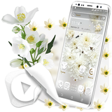 White Flower Launcher Theme icône