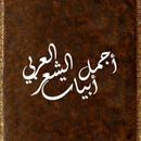 أجمل أبيات الشعر العربي APK