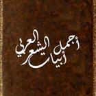 أجمل أبيات الشعر العربي icône