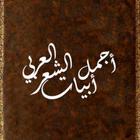 أجمل أبيات الشعر العربي أيقونة
