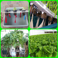 the most complete hydroponic t