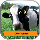 Cow Sounds アイコン