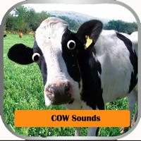 Cow Sounds ポスター