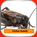 Cricket Sounds APK