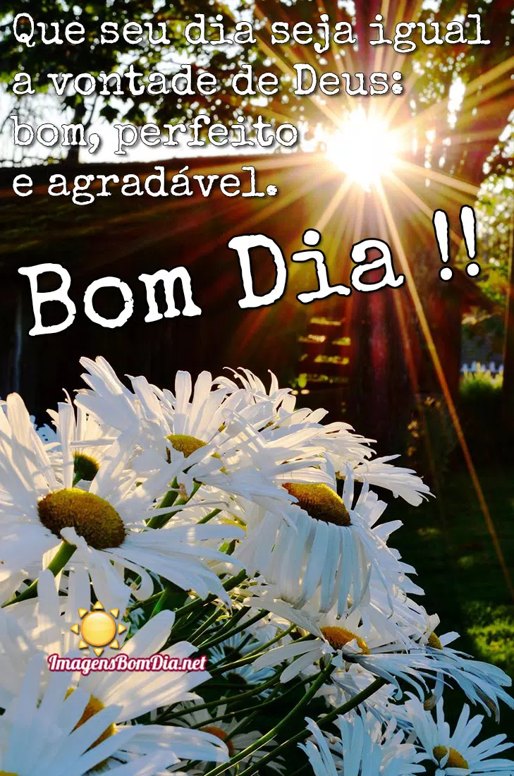 Frases Bomdia imagens APK pour Android Télécharger Frases Bomdia imagens APK pour Android Télécharger