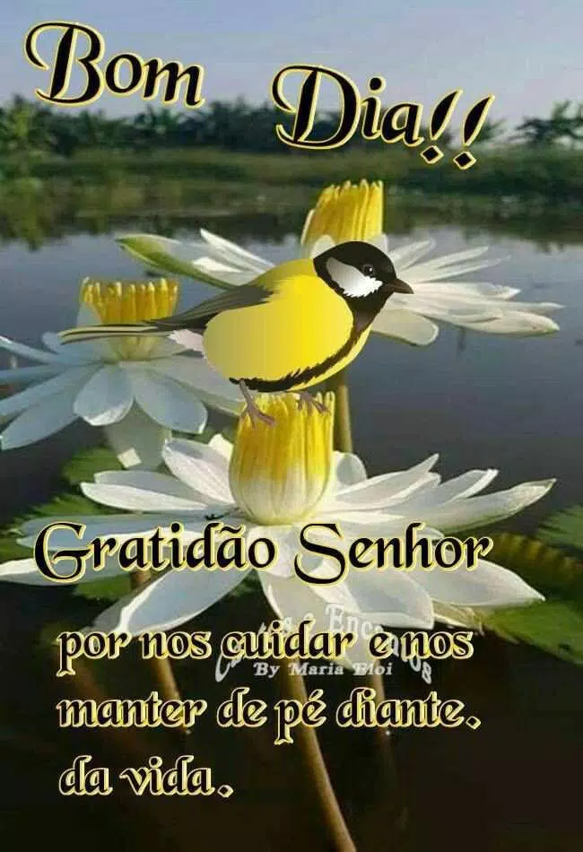 Frases Bomdia imagens APK pour Android Télécharger Frases Bomdia imagens APK pour Android Télécharger