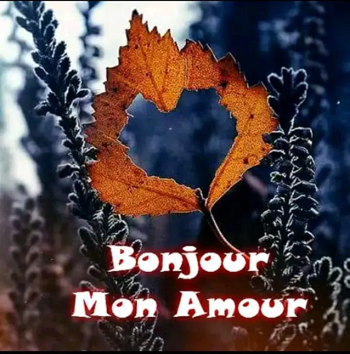 Bonjour Bonsoir Images For Android Apk Download