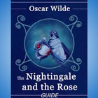 The Nightingale and the Rose: Guide biểu tượng