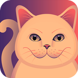Тест-игра: Какой ты кот? Zeichen
