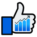 FB Likes