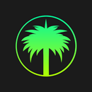 APK Hollywood Palms Cinema App