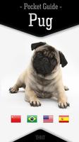 Pug - Guia de Bolso Cartaz