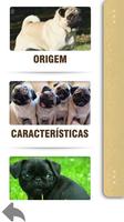 Pug - Guia de Bolso screenshot 2