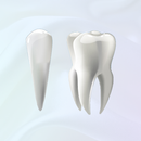 APK Guia de Dentes