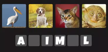 4 images 1 word: Word Games