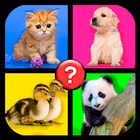 4 images 1 word: Word Games أيقونة