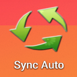 Sync Auto icône
