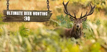 CERDO DEER CAZADOR