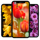 Fondos de Pantalla con Flores APK