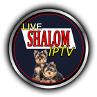 LIVE SHALOM IPTV icône