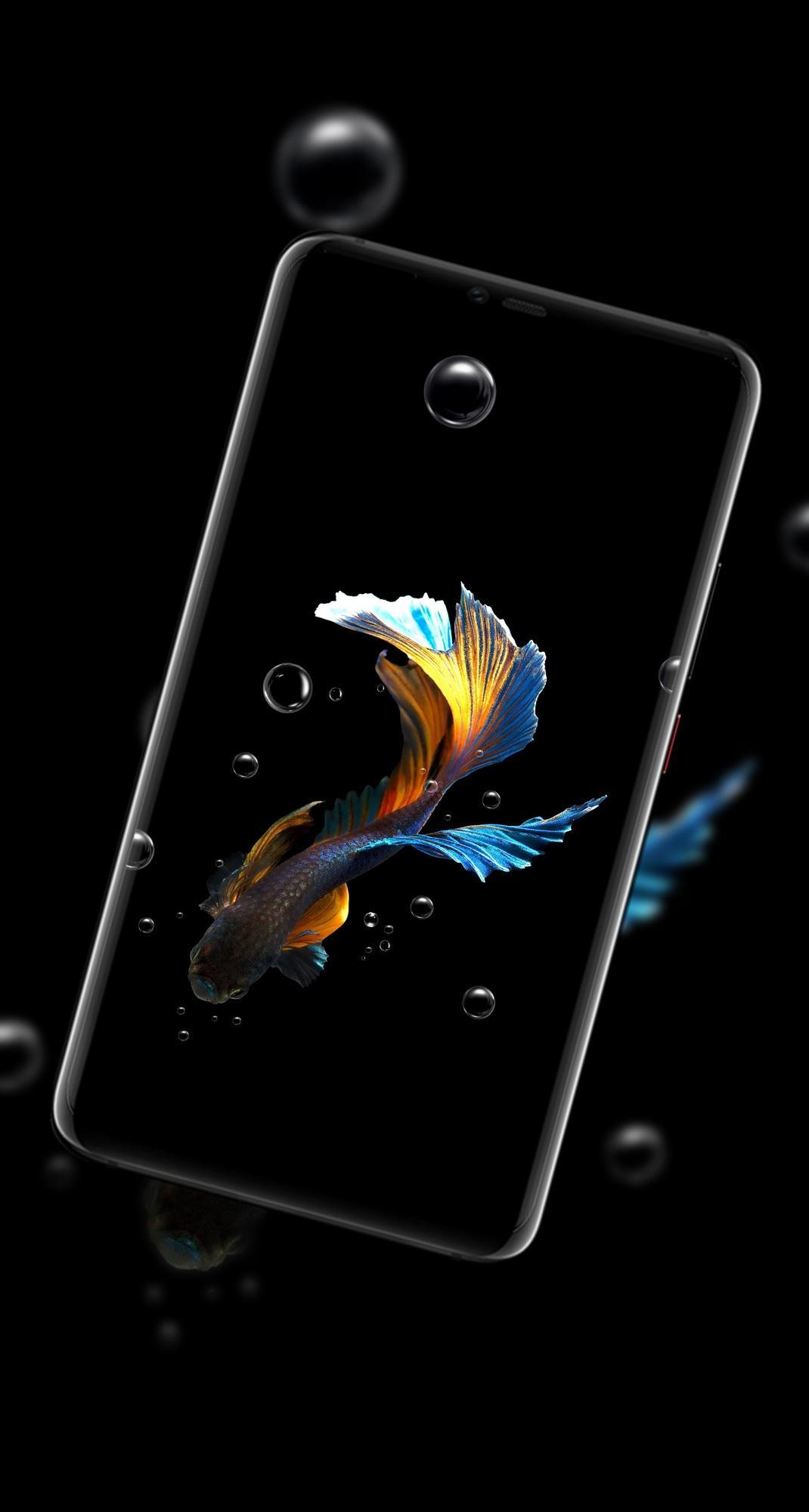Betta Fish Live Wallpaper Free für Android - APK herunterladen