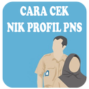 Cara Cek NIP Profil PNS-APK