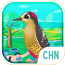 爱娃魔贴-鸟与天空 APK