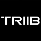 Triib icône