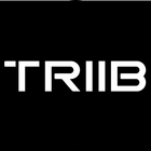 Triib 아이콘