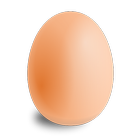 Egg Fast Tracker icône
