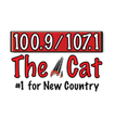 The Cat Albany icon